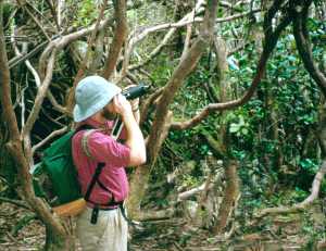 CLICK HERE to see how active naturalists get off alone, in real nature.